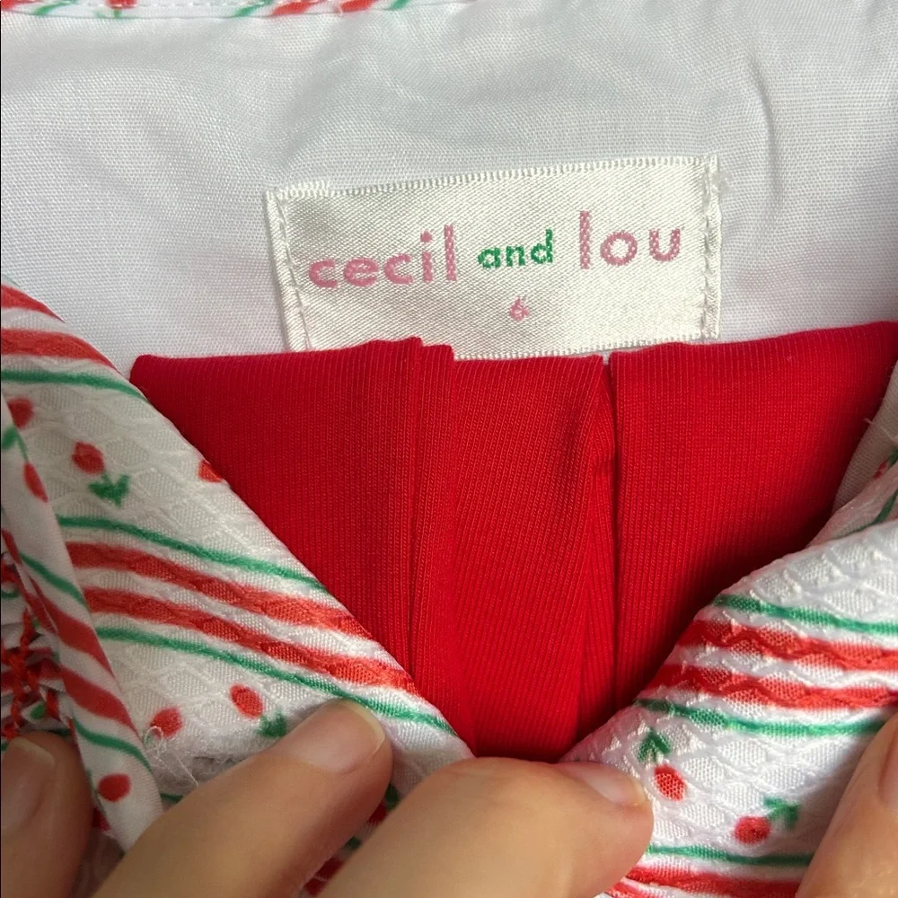 Cecil and Lou size 6 tunic with leggings.